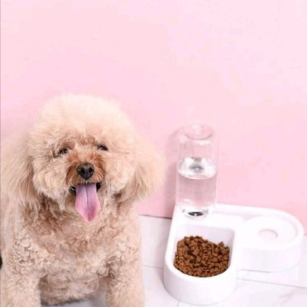 2-in-1 Pet Feeder