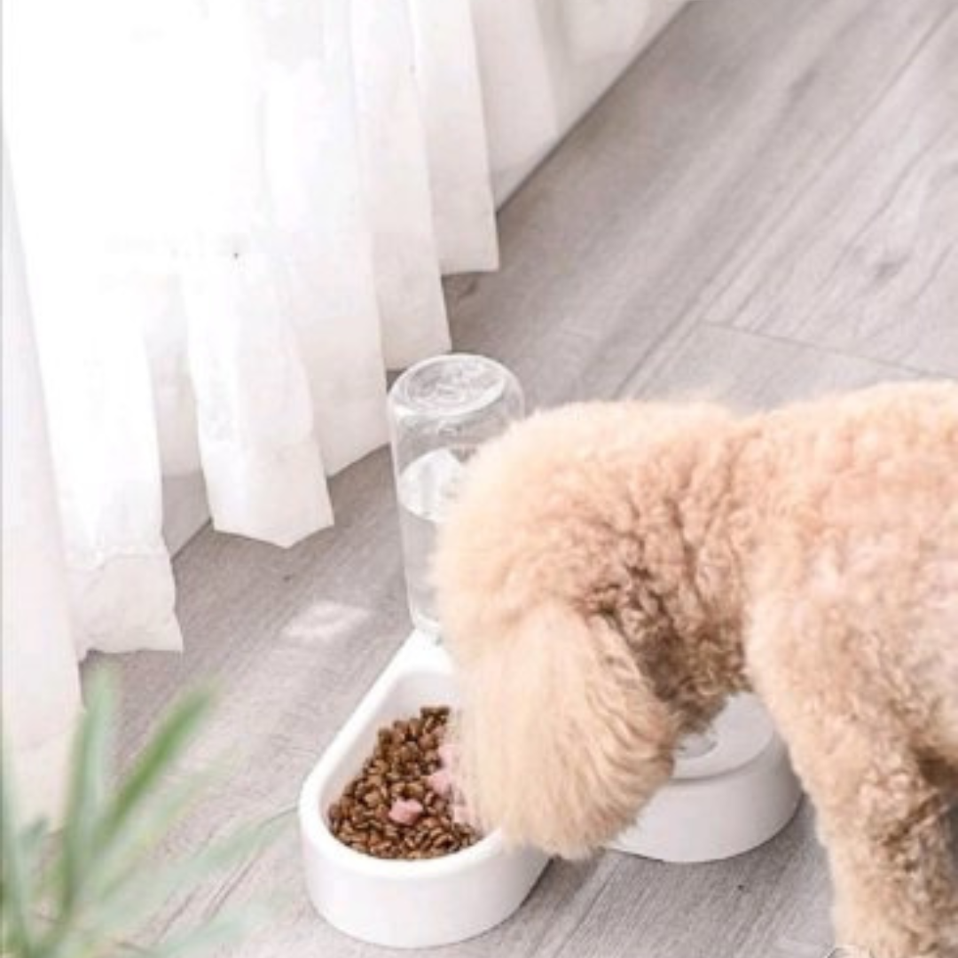 2-in-1 Pet Feeder