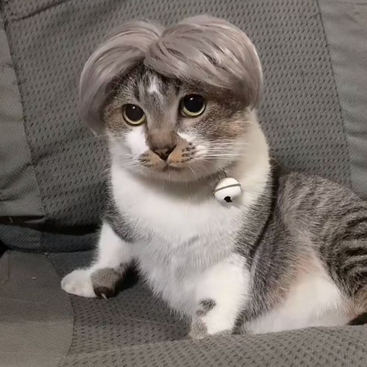 Pet Cosplay Wig